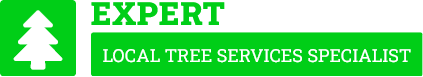 Tauranga Tree Care - Tree Removal Tauranga